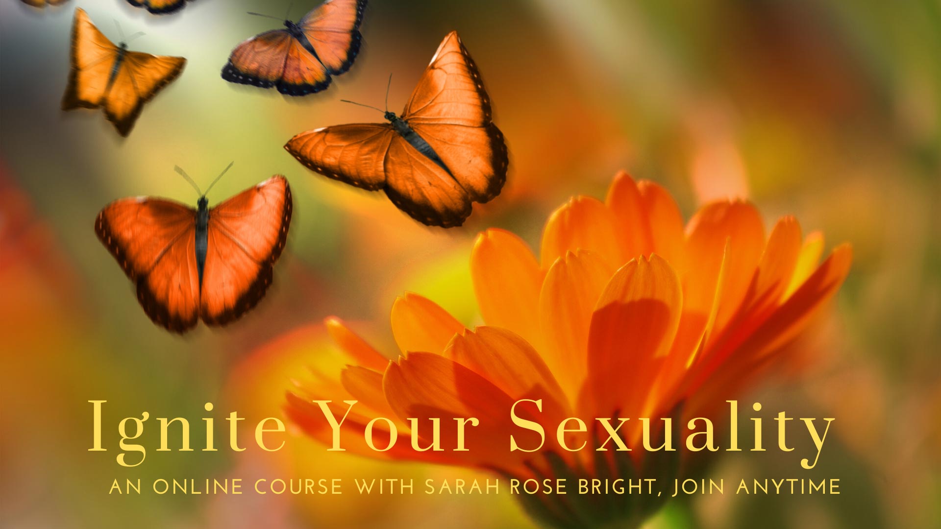 Ignite Your Sexuality