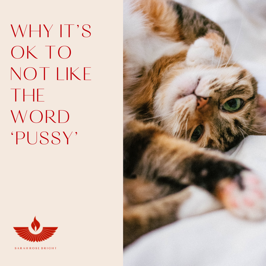 It is okay to not like the word ‘pussy’